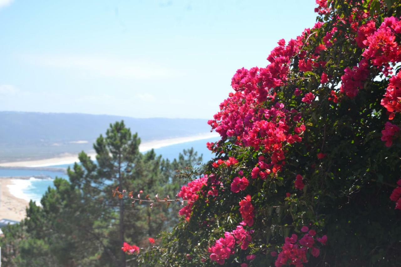 Encosta Do Sol Appartement Nazaré Buitenkant foto
